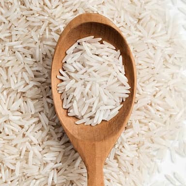 Rice